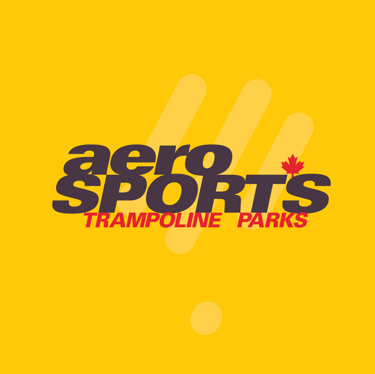 Aerosports Trampoline Park Oakville